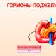 Намалена хипертония Фактор на артериалната хипертония при хората