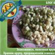 Groats of mung beans, the roots of power and the survival of food for eating.
