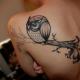 Татуювання сова і її значення для дівчат і хлопців